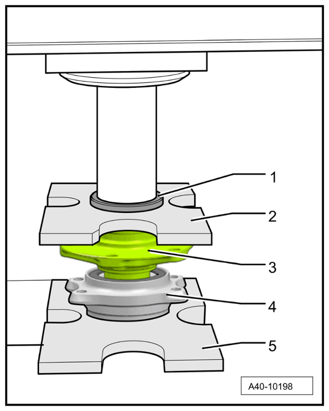 G15279593