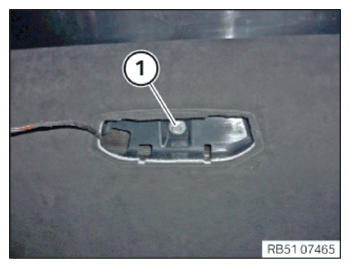 G15284384
