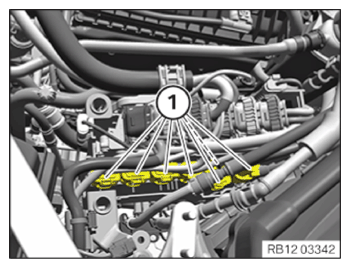 G15297242
