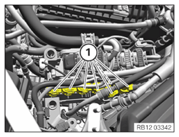 G15297245