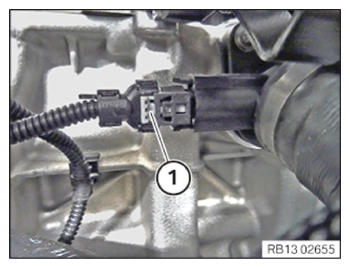 G15297524