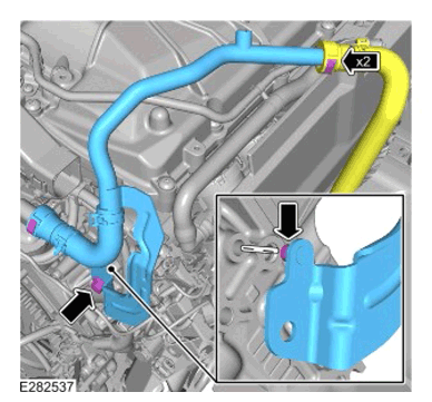 G15303250