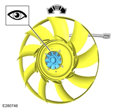 G15303272
