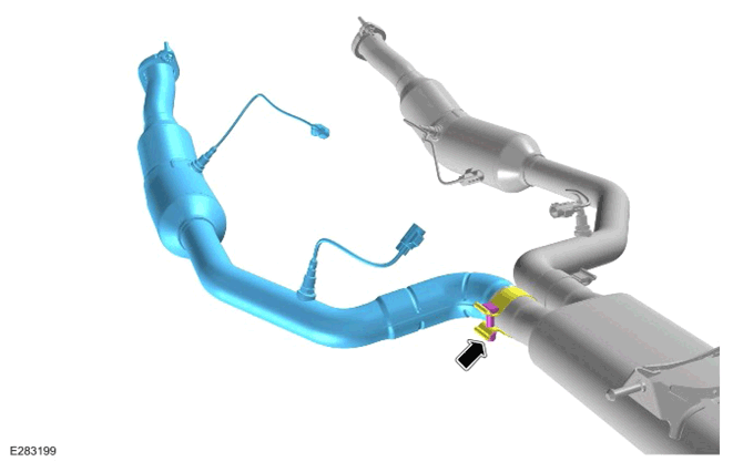 G15307376