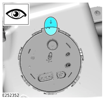 G15307581