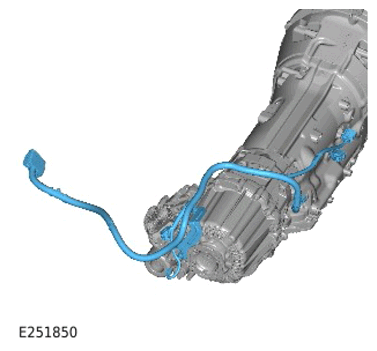 G15308759