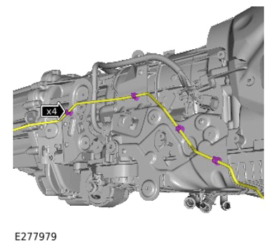G15308888