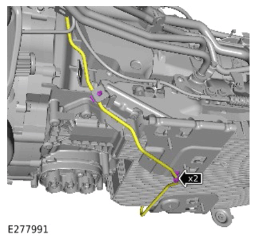 G15308889