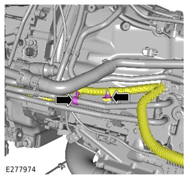 G15308890