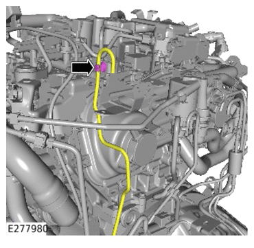 G15308898