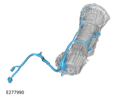 G15308914