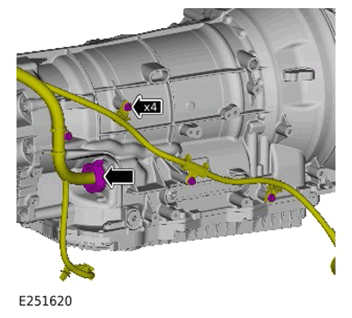 G15308954