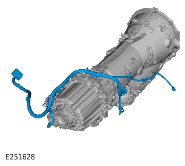 G15308957