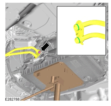 G15308981