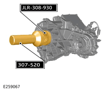 G15309712