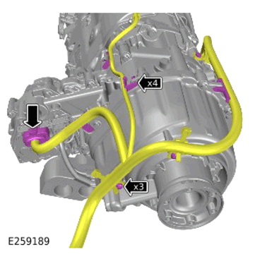 G15309744