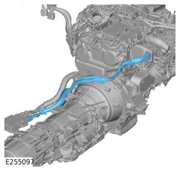 G15310796