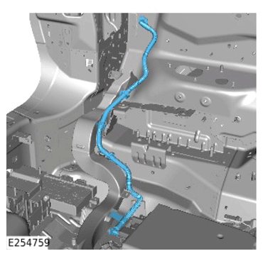 G15310887