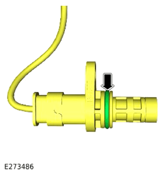 G15319287