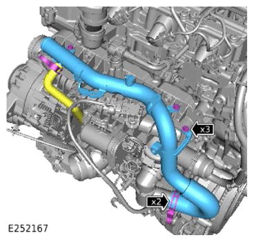G15319976