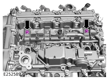 G15320406