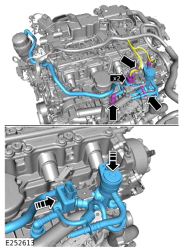 G15320460