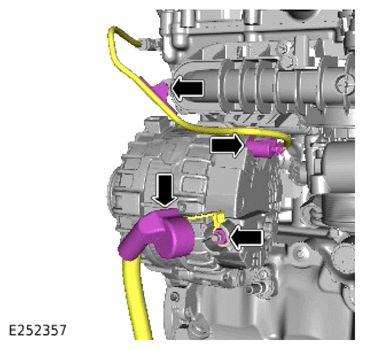 G15320560