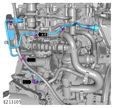 G15320571
