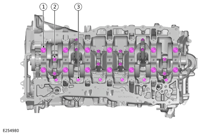 G15320581