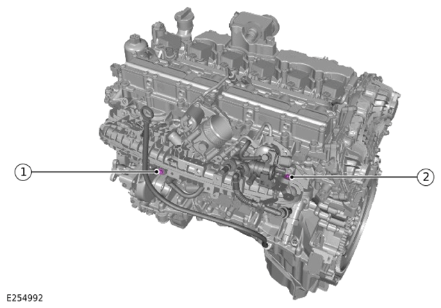 G15320593