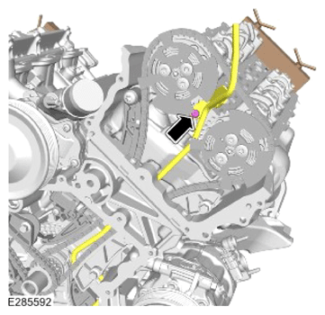 G15322392