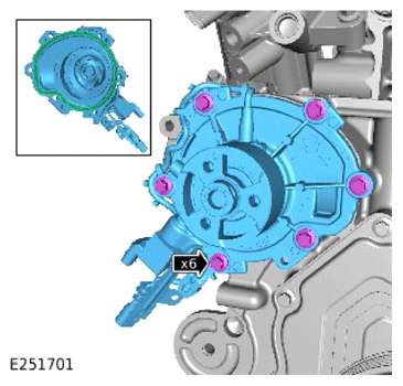 G15323884