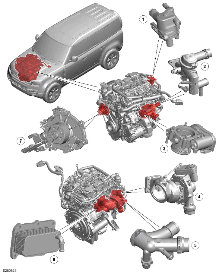 G15324497