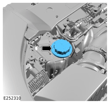 G15324610