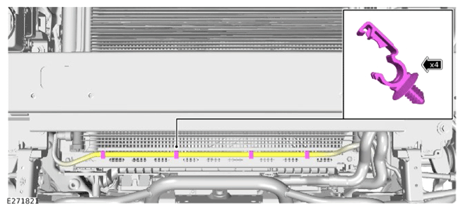 G15324786