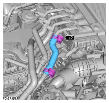 G15324961