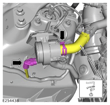G15324985