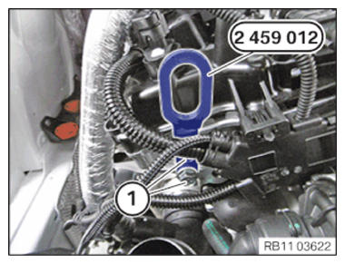 G15329206
