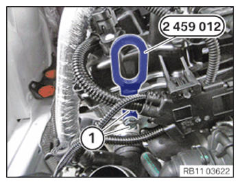 G15329225