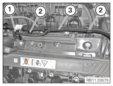 G15329258