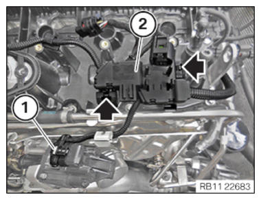 G15329274
