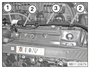 G15329276