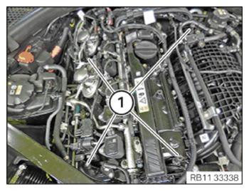 G15329318