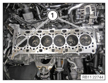 G15329352