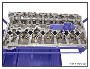 G15329521
