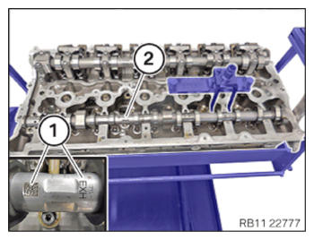 G15329526