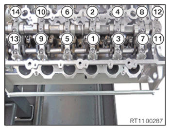 G15329554