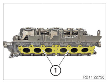 G15329601