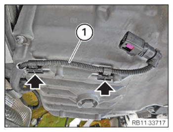 G15329716