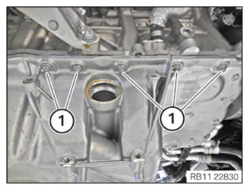 G15329806